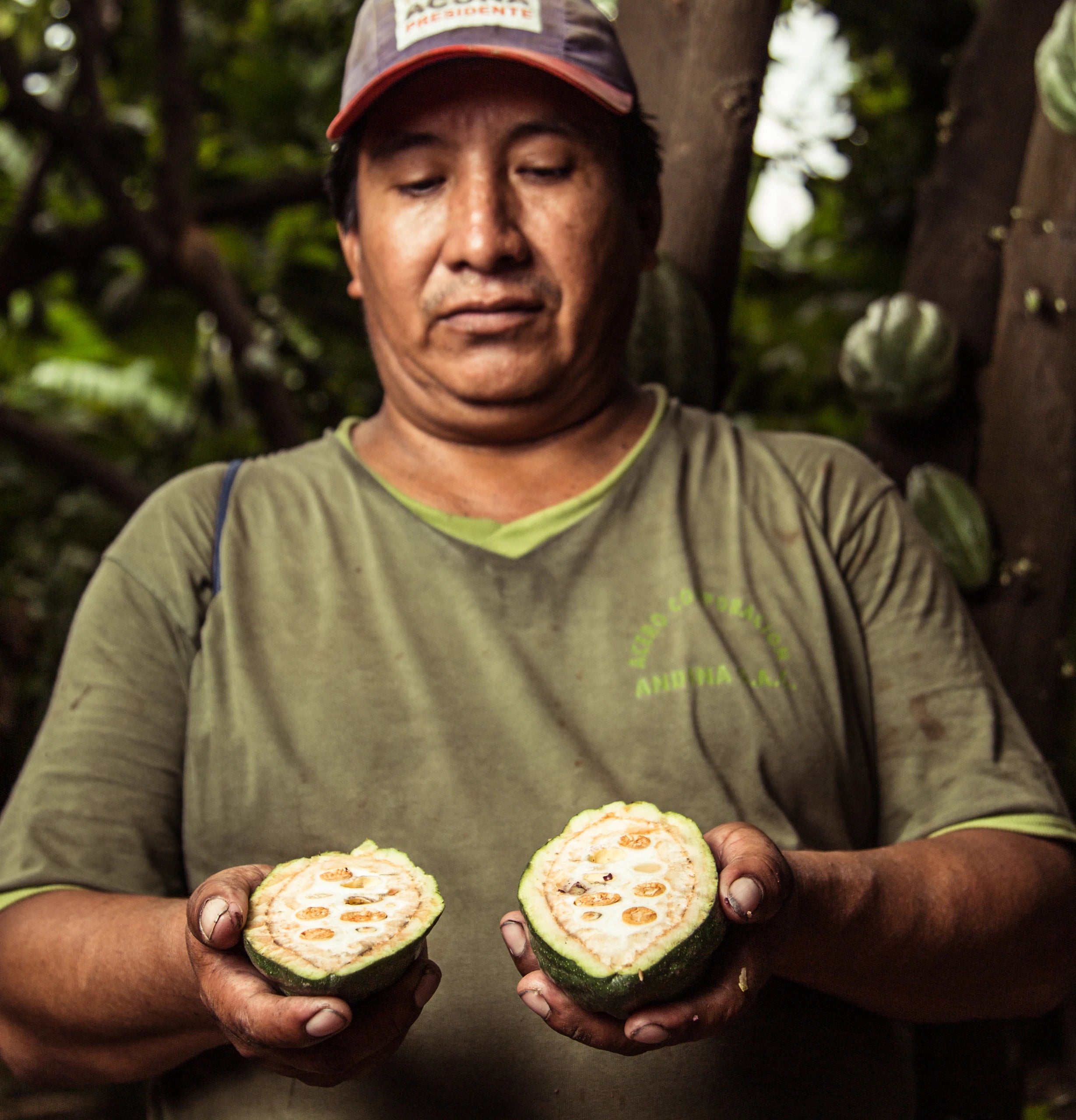 The Best European Chocolate - Meybol Cacao - Piura 72%