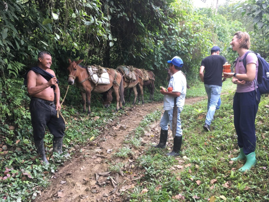 What is the Best Chocolate in the World | Goodnow Farms - Boyaca, Colombia 73%