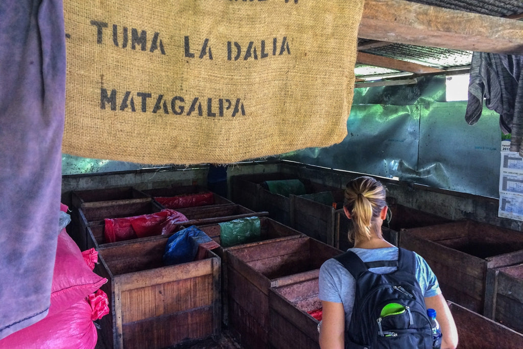 Goodnow Farms Chocolate - El Carmen With Coffee Crunch 69%