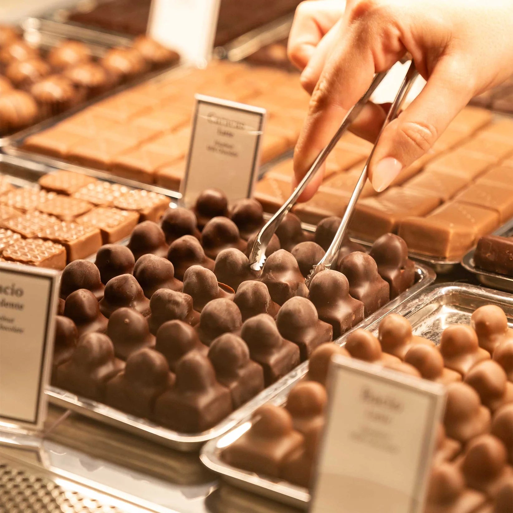 Best Praline Chocolate | Slitti - Assorted Praline Box