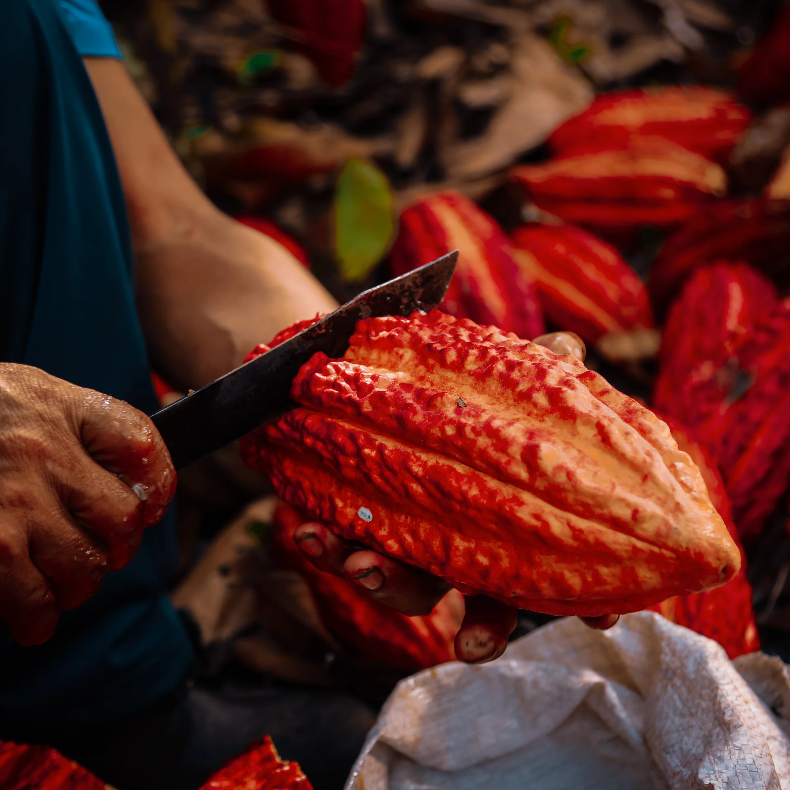 Best European Dark Chocolate - Vraem 72%