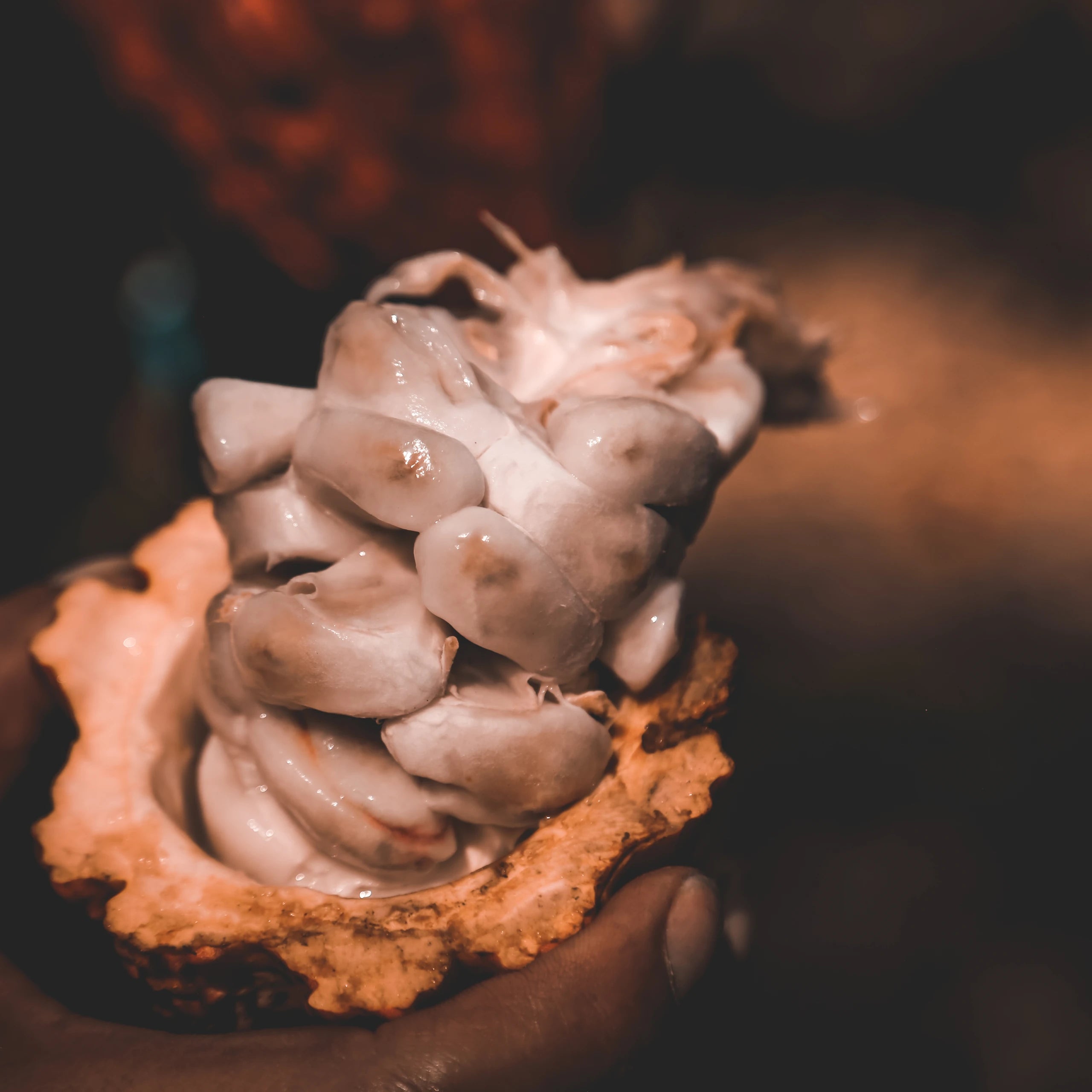 World's Best Chocolate - Meybol Cacao - Vraem 68%