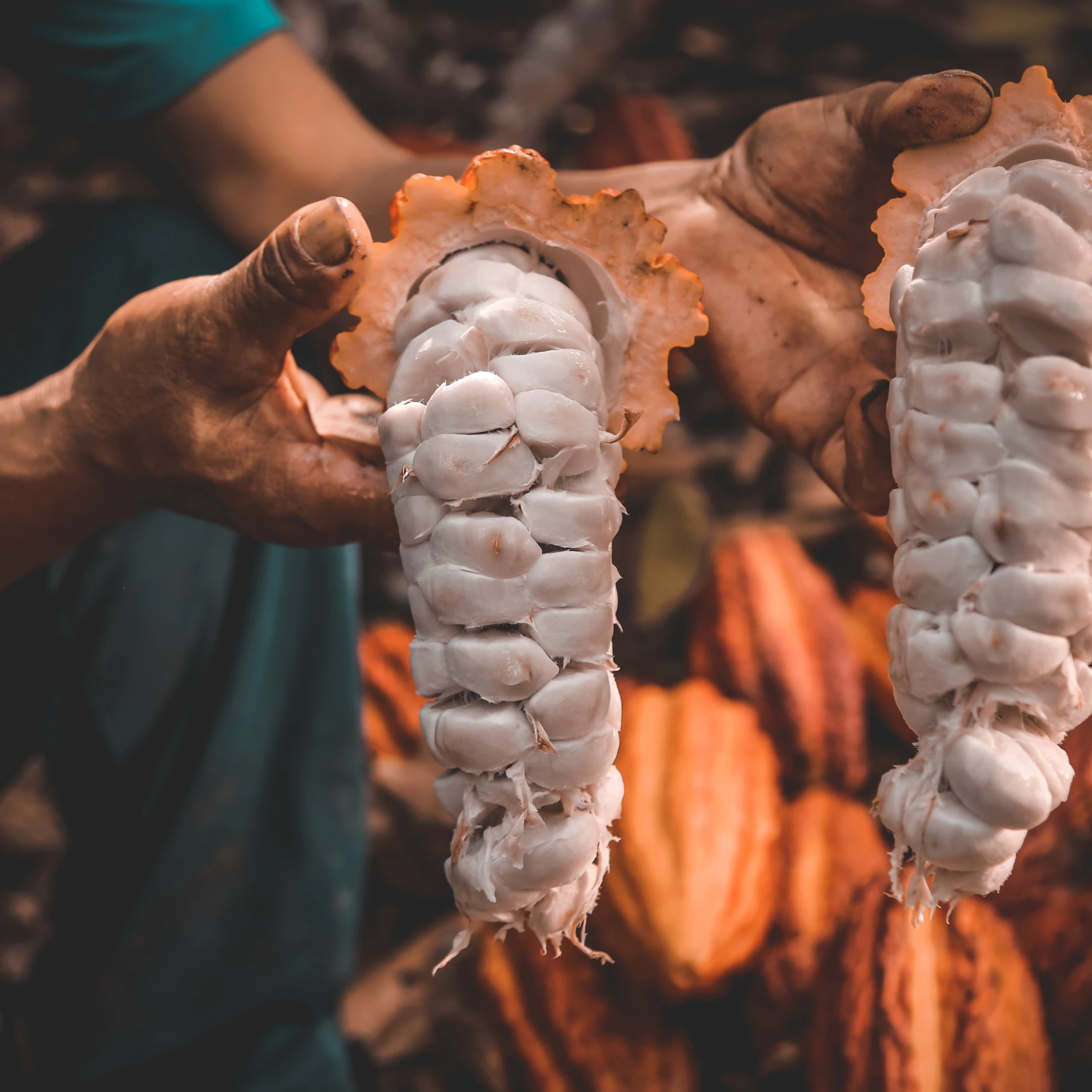 World's Best Chocolate - Meybol Cacao - Vraem 68%