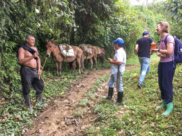 Goodnow Farms - Limited Release, Demon Seed Whiskey, 77%