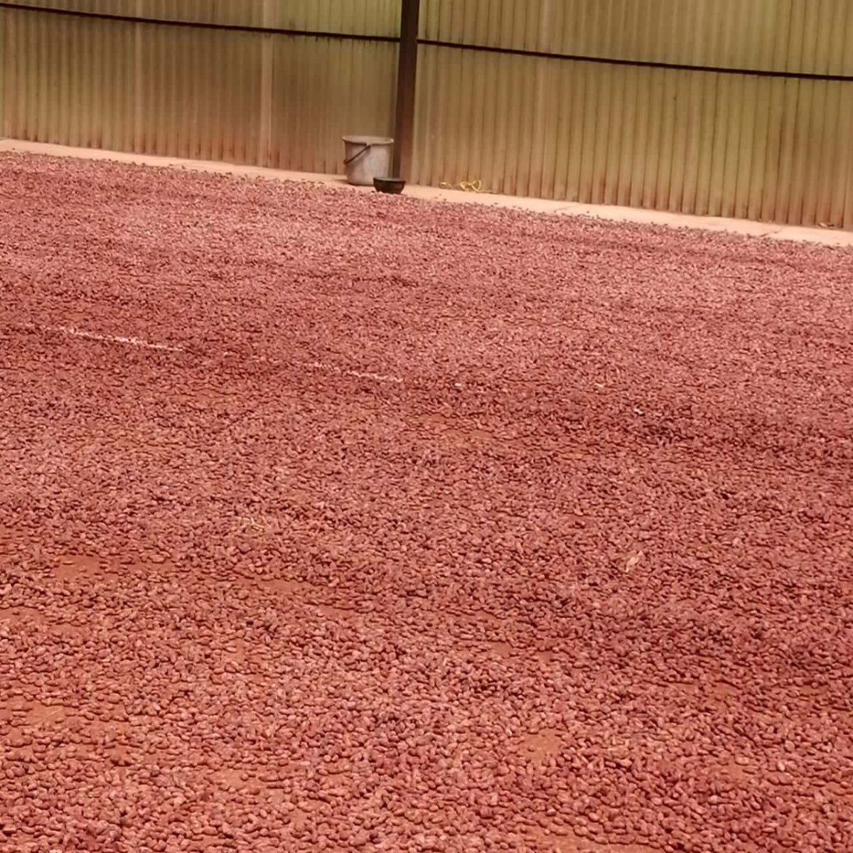 Dark Chocolate - Sierra Sagrada | Bean to Bar Chocolate Singapore