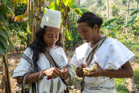 Dark Chocolate | Cacao Hunters - Arhuacos, 72% Tribe